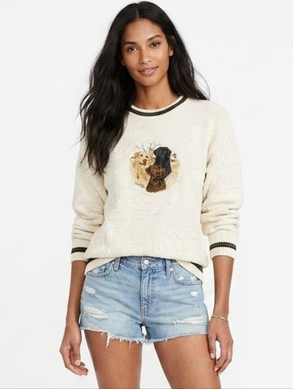 Vintage Chunky Embroidered Lab Dogs Textured Crewneck Sweater In Cream - XLT